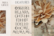 Milla Grace. Modern Classic Font, a Serif Font by LABFcreations (Thumbnail 8 of 12)