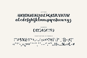 Wildwritten - Handwritten Script, a Script Font by Only Fonts (Thumbnail 7 of 15)