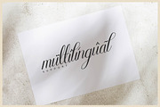 Mewskia | Modern Calligraphy Font, a Script Font by gracetype_studio (Thumbnail 13 of 14)
