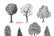 Hand Drawn Trees, an Object Graphic by Eugenia Hauss Design (Thumbnail 3 of 3)