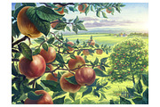 Apple set, a Food Illustration by Countryside life (Thumbnail 5 of 12)