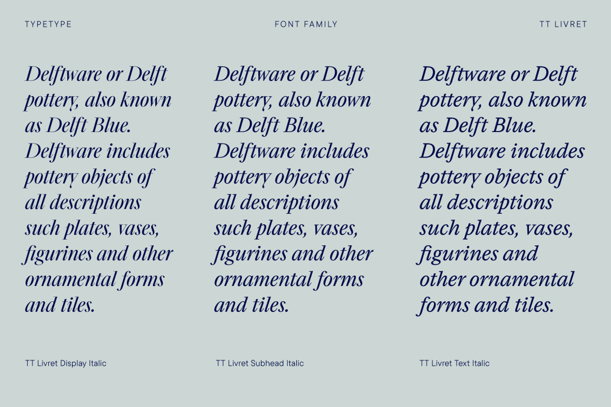 TT Livret, a Serif Font by TypeType (Photo 5 of 15)