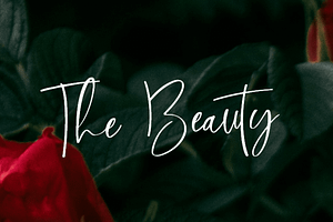 Cinthia Bloom: Elegant Font