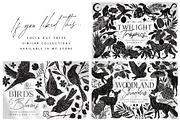 Shadow Garden Vector Collection, a Decorative Illustration by rouxsupplyco (Thumbnail 17 of 17)