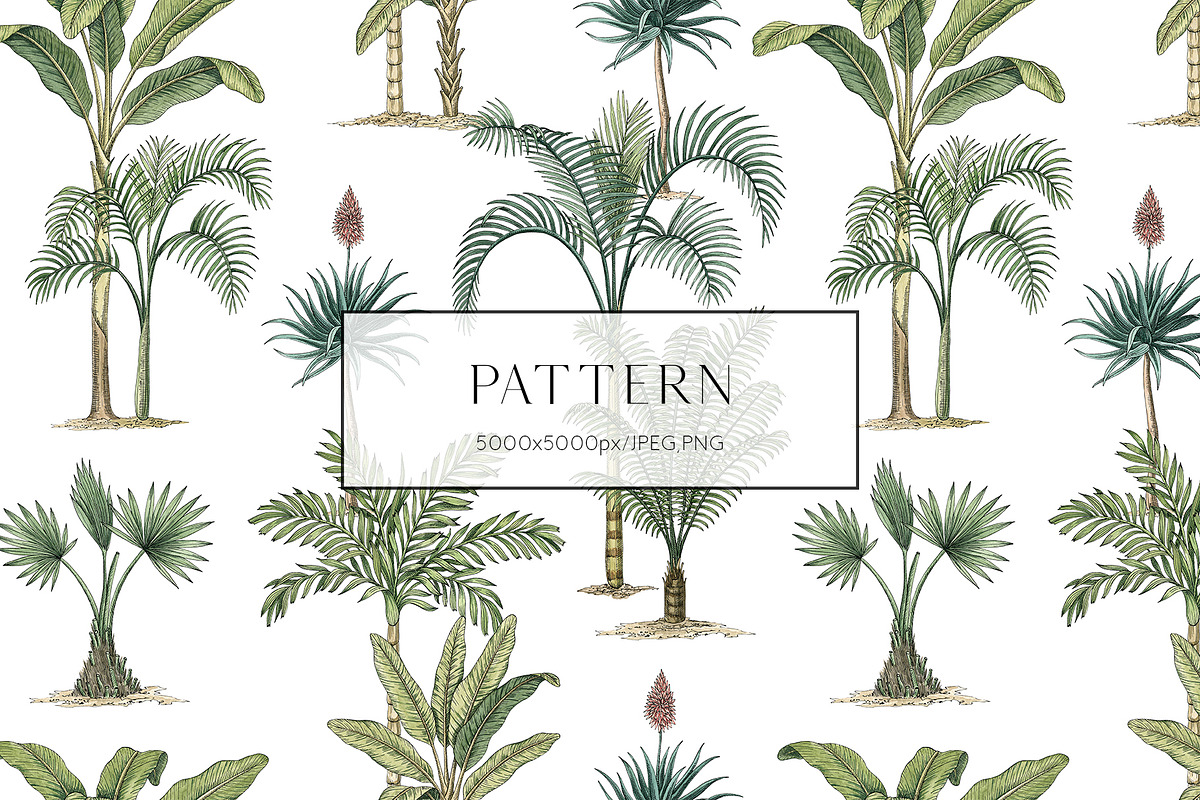 Monkeys and palms, a Pattern Graphic by Anyuka (Photo 6 of 12)