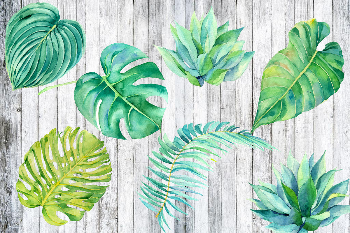 Watercolor animals, leafs, birds, an Animal Illustration by Watercolor arts (Photo 6 of 6)