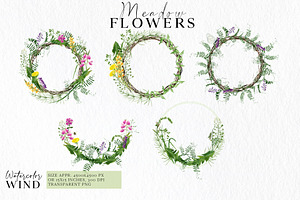 Wild Floral Clipart Meadow Flowers