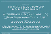 Blue Harmony Modern Script Font, a Script Font by RantautypeStudio (Thumbnail 13 of 13)