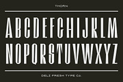 Thorn: A Contemporary Condensed Font, a Sans Serif Font by DeliFreshTypeCo. (Thumbnail 2 of 4)