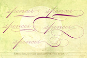 Mercy, a Script Font by Misprinted Type (Thumbnail 7 of 8)