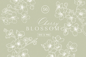 SAKURA - CHERRY blossom line art set