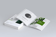 165 Brochure Mock-ups Big Bundle, a Print Template by pmvch (Thumbnail 8 of 170)