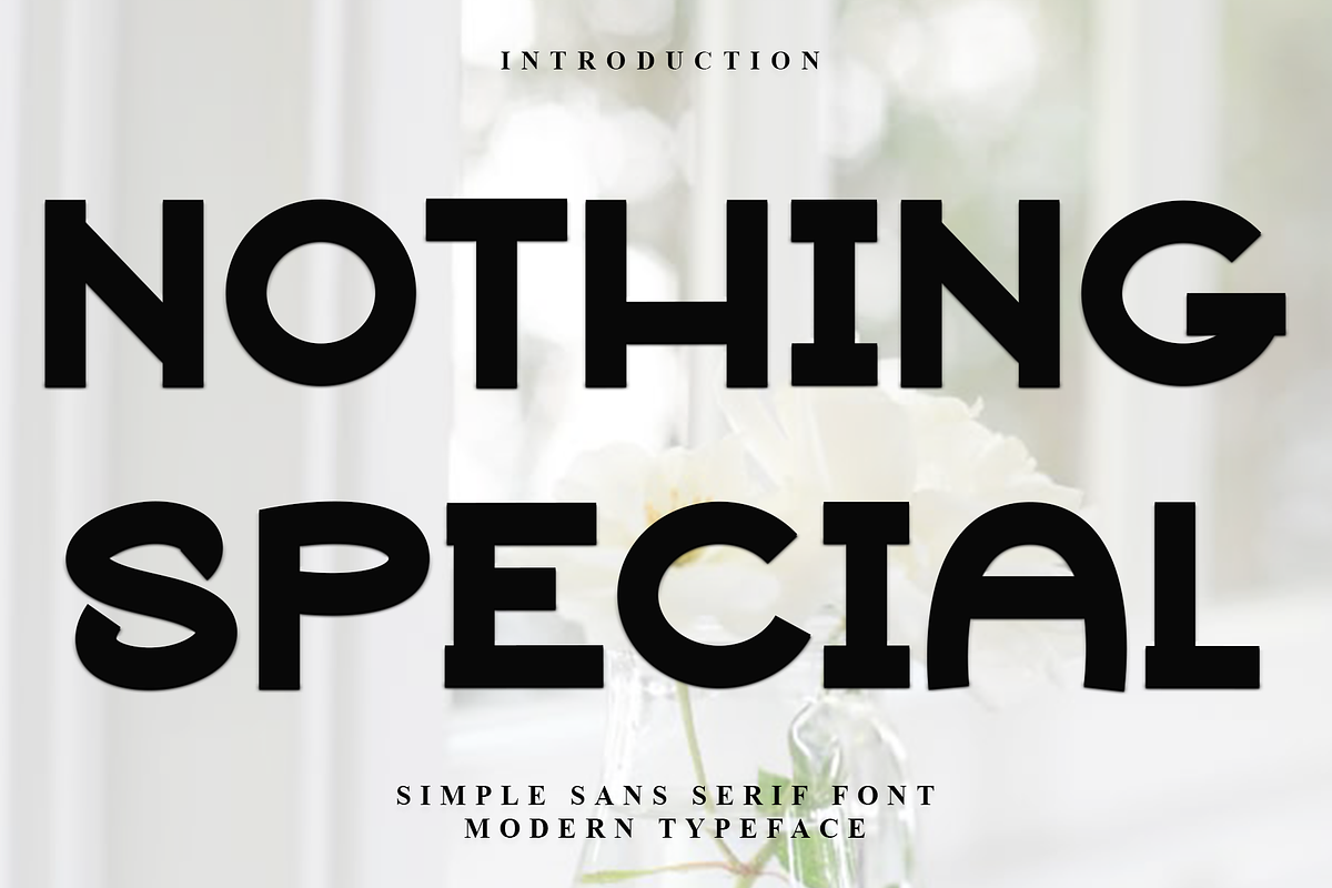 Nothing Special, a Script Font by FreshTypeINK (Photo 1 of 7)