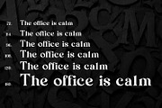 Ravendale modern serif, a Serif Font by pictranoosa_studio (Thumbnail 4 of 5)