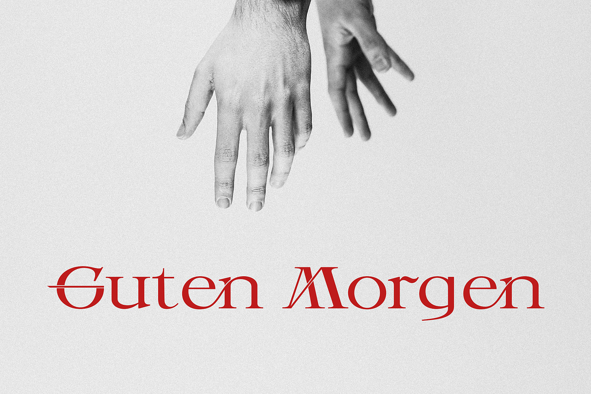 Picabro Serif Font, a Serif Font by Heinzel Std (Photo 10 of 11)