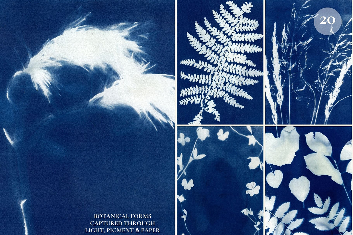 CYANOTYPE Botanical Backgrounds, a Background Graphic by Alisovna (Photo 7 of 15)