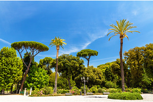Tropical trees on piazzale napoleone i in rome featuring palm, rome, and italy, an Architecture Photo by Leonid Andronov