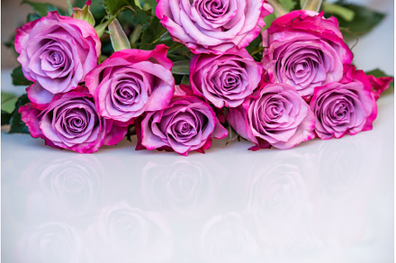 Bouquet of purple roses on white, a Nature Photo by COLORFUL