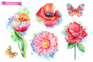 Spring Flowers, Rose, Tulip, Vector