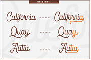 Quefira // Aesthetic Script Font, a Script Font by Vultype Co. (Thumbnail 10 of 12)