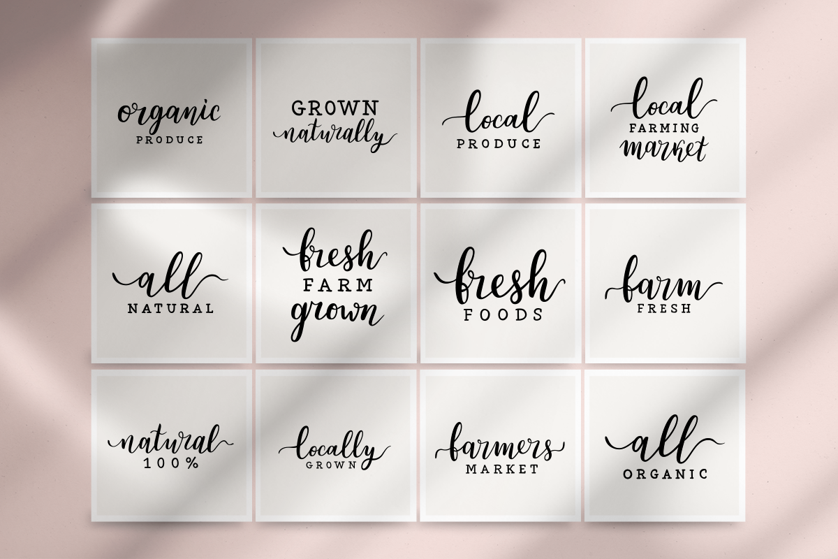 Vegetable and fruit illustrations, a Food Illustration by Fave Brush (Photo 5 of 9)