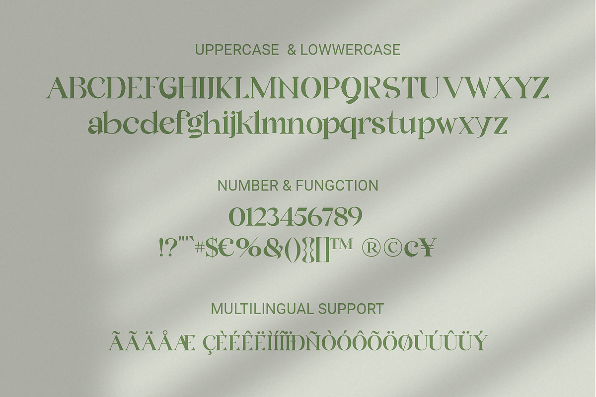 Quicle New Display Serif Font, a Font by RHD Creative Studio (Photo 7 of 7)