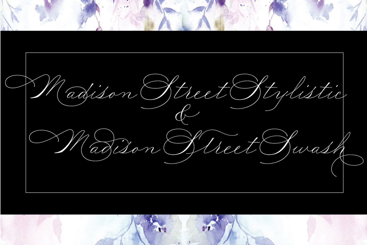 Madison Street Stylistic & Swash