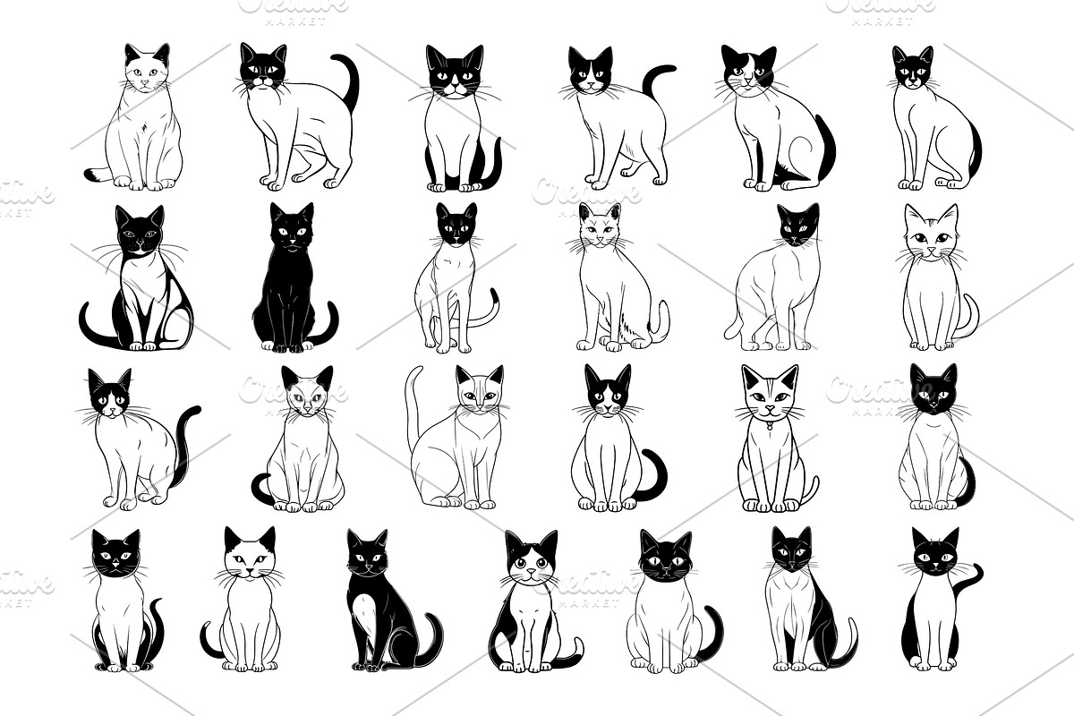 50 Cats Procreate Stamps Brushes