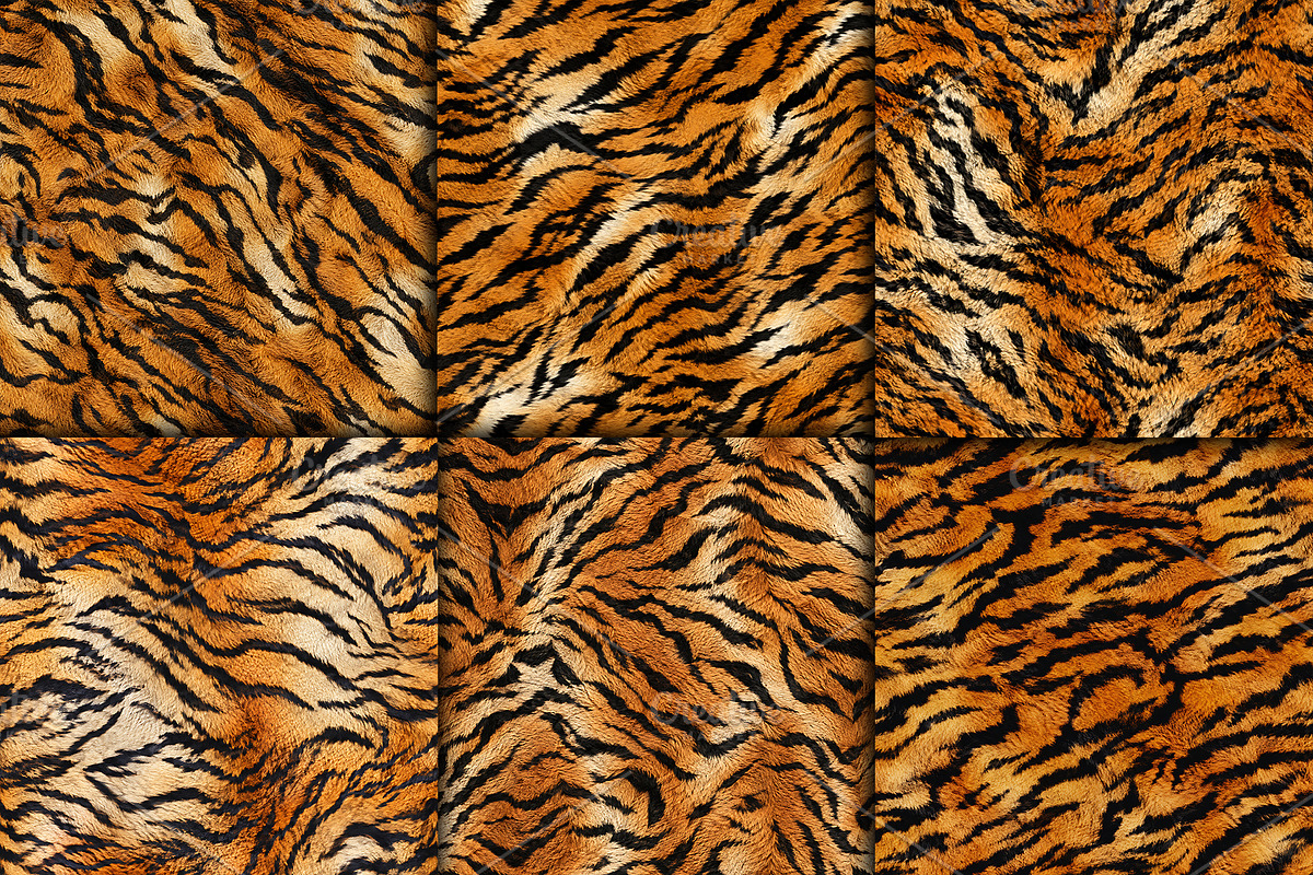 Realistic Tiger Fur Print Texture, a Pattern Graphic by Artonix (Photo 3 of 5)