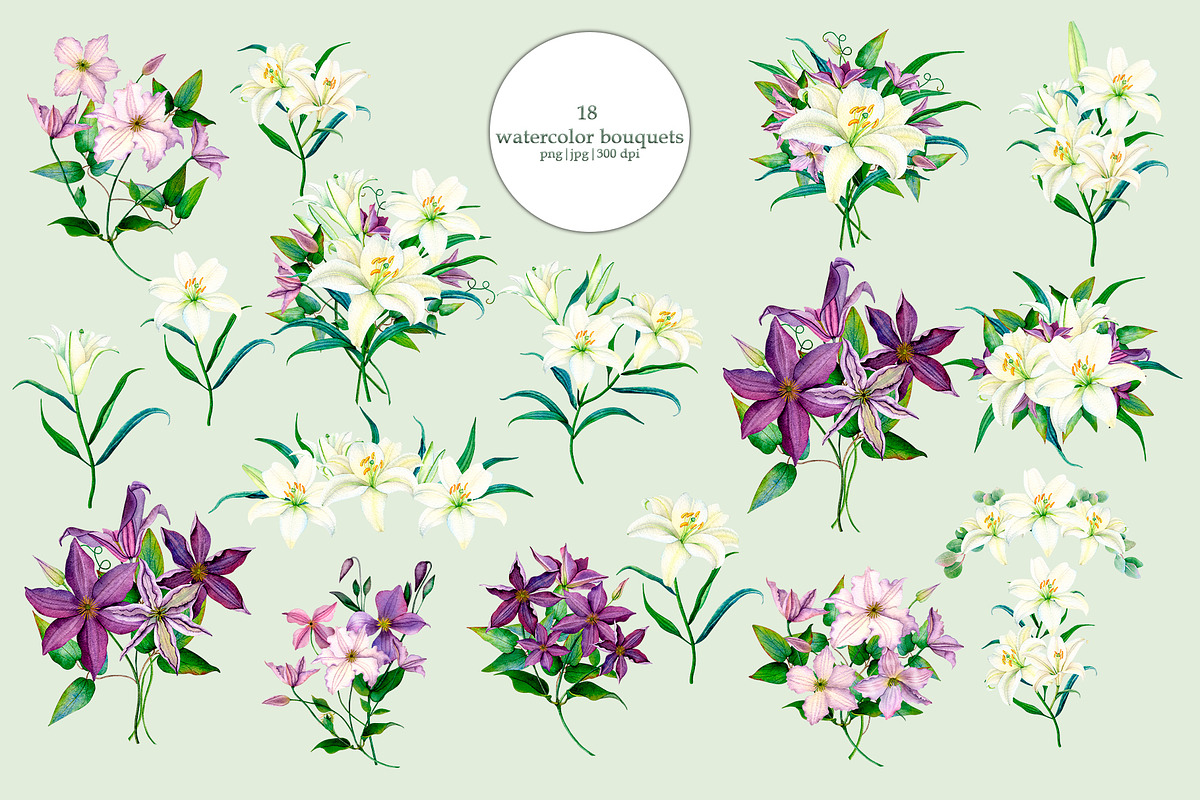 Lilies & Clematis Illustrations, an Illustration by SunnJaneArt (Photo 3 of 13)
