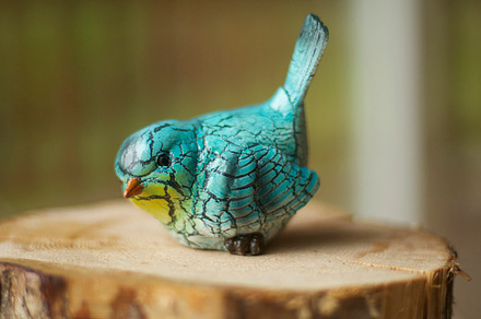 Cute Bird Stock Photo preview 4