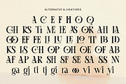Rook Castle – Bold Gothic Display, a Serif Font by roomspace creative lab (Thumbnail 10 of 12)