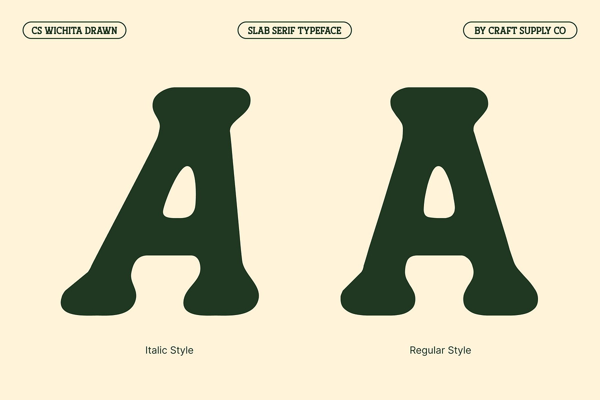 CS Wichita Drawn, a Slab Serif Font by Craft Supply Co. (Photo 2 of 8)