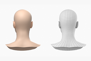 Natural Female Head 01 Generic Mesh