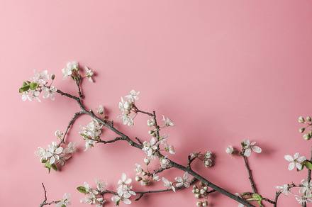 Springtime background
