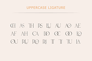 Bechilo – Modern Serif Font, a Serif Font by Yahya Type (Thumbnail 24 of 25)