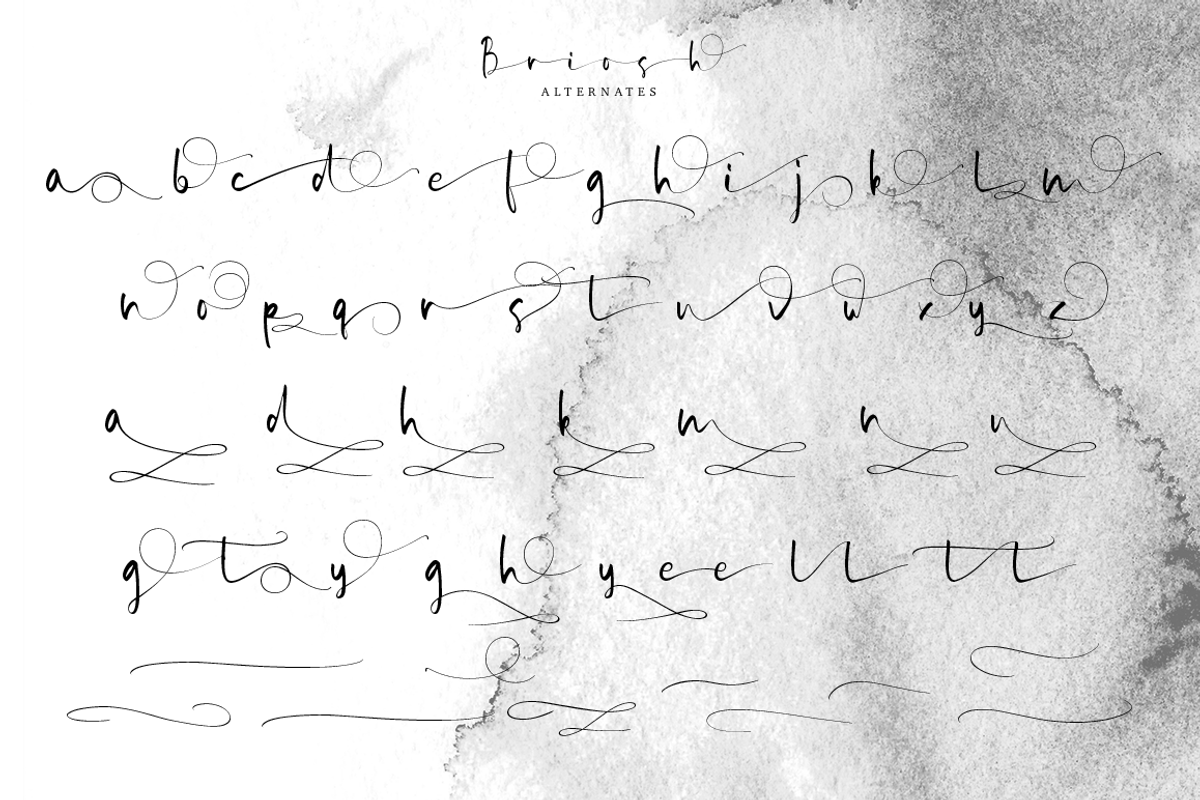 Briosh, a Script Font by Larin Type Co. (Photo 11 of 12)