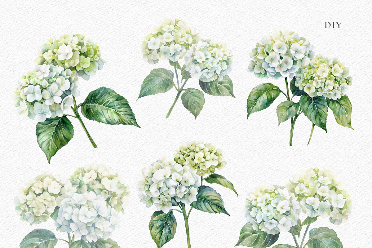 Hydrangeas Dreaming - Watercolor, a Decorative Illustration by ThaismotaCreativeCo (Photo 4 of 9)