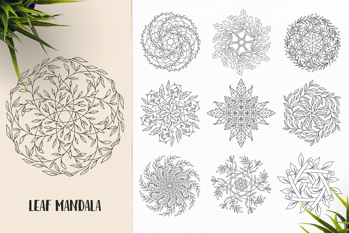 530 Vector Mandala Ornaments, an Animal Illustration by pixaroma (Photo 26 of 55)