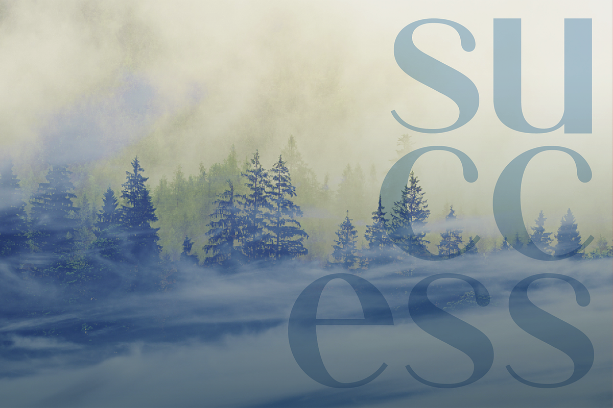 Vyhor font family, a Sans Serif Font by vlad.berla (Photo 7 of 8)