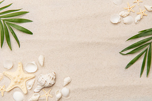 Tropical background featuring palm leaves, seashells, and starfi, a Holiday Photo by Olena Rudo