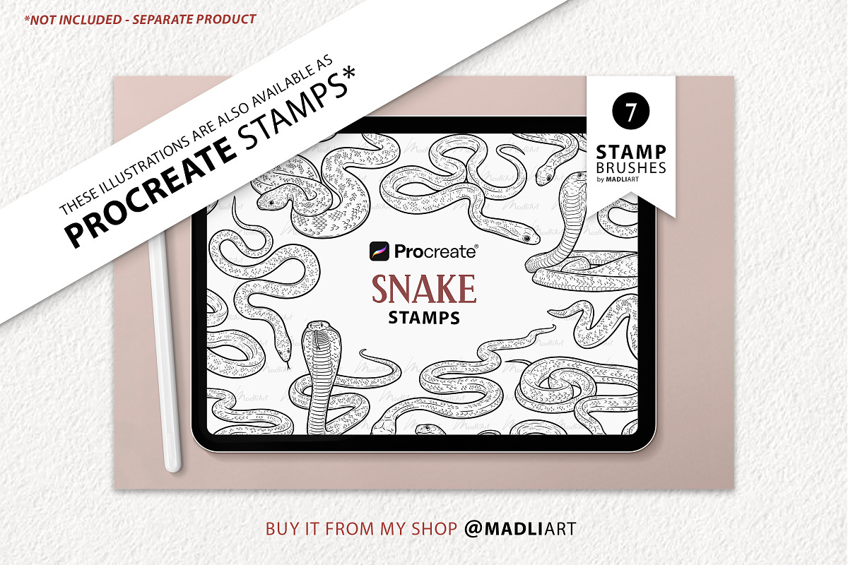Snake Reptile Vector Line Art Set, an Animal Illustration by MadliArt (Photo 4 of 4)