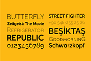 Full Sans, a Sans Serif Font by BULENT YUKSEL (Thumbnail 7 of 10)