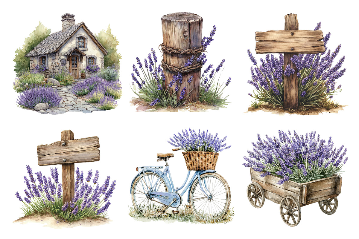 Countryside Lavender Clipart, an Illustration by SinaCreation (Photo 2 of 5)