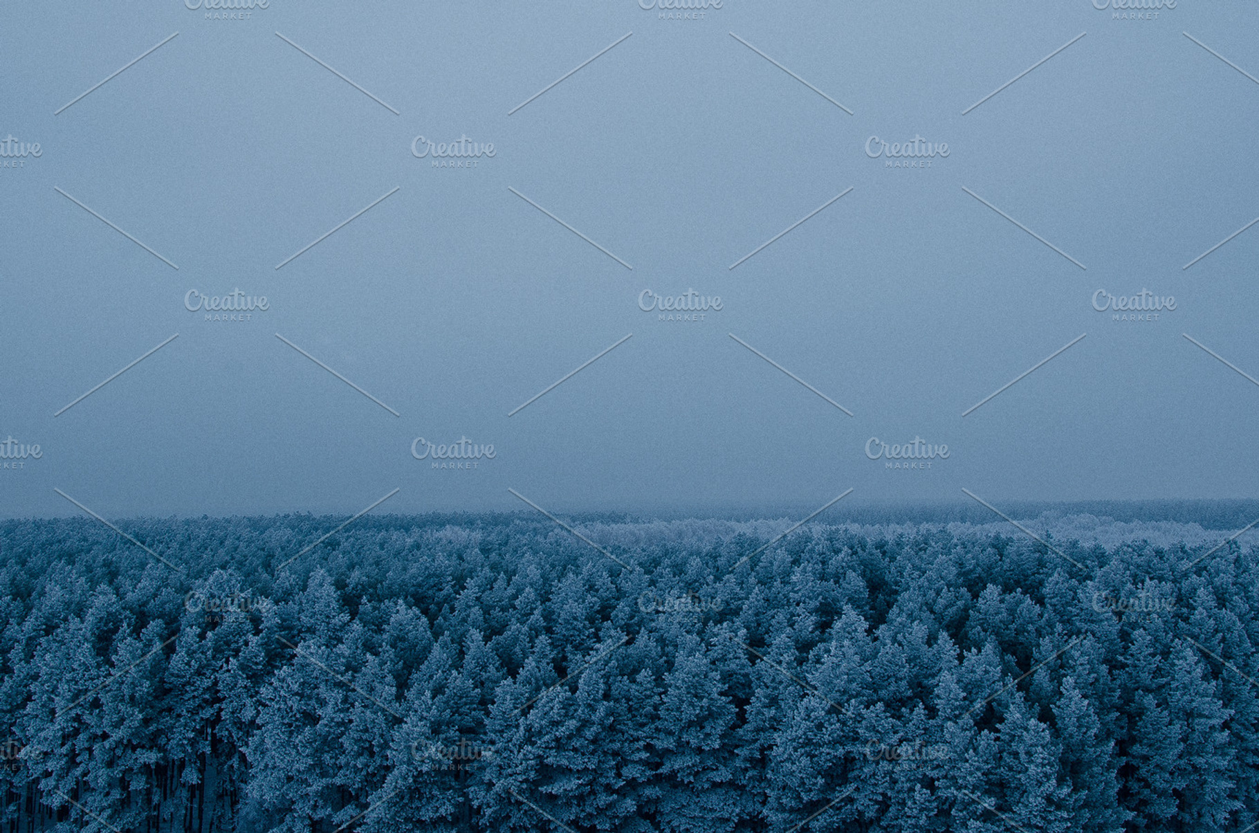 Snowy Shackles