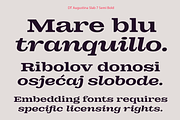 DT Augustina Slab 7 Subfamily, a Slab Serif Font by Deveze Type Foundry (Thumbnail 11 of 31)