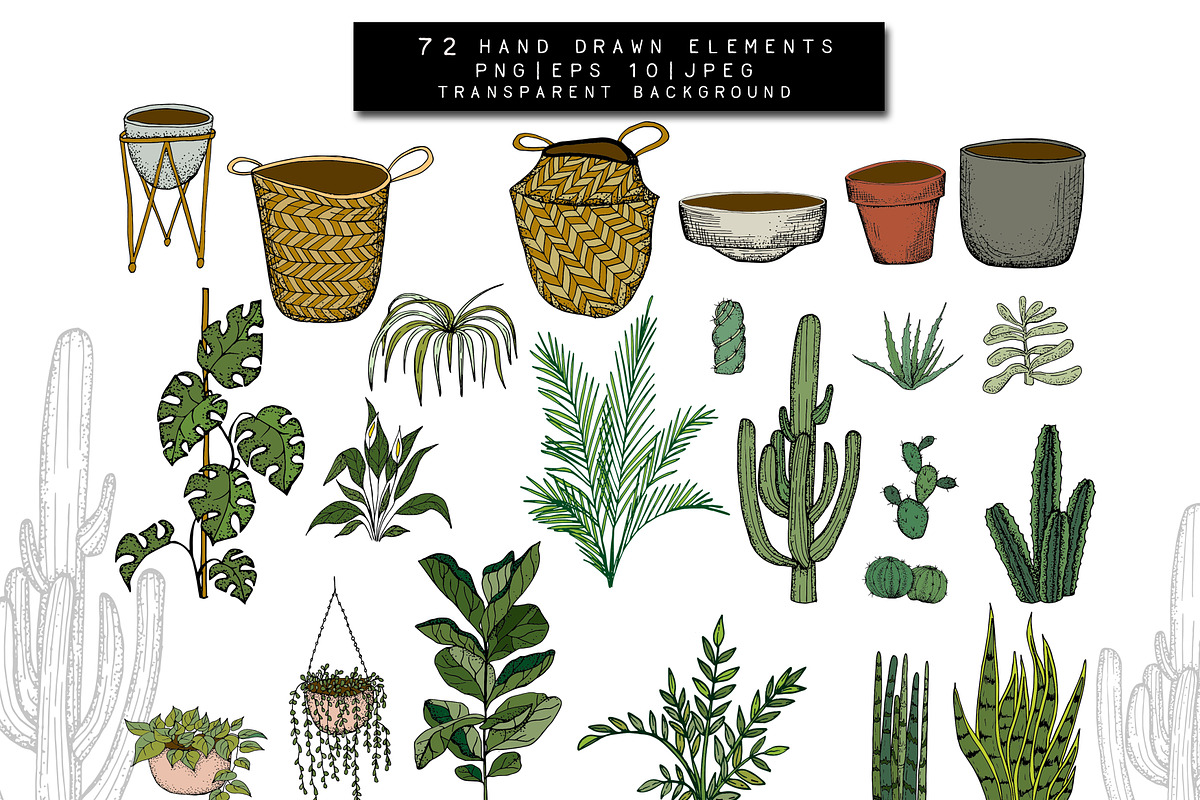 Home Plants Clipart Collection, a Graphic by Hand drawn Boutique (Photo 2 of 10)