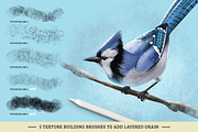 Dry Texture Brushes for Procreate, a Brush Add-On by Nathan Brown (Thumbnail 3 of 8)