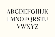 Roscia Sylvia Elegant Serif Font, a Serif Font by UICreative (Thumbnail 2 of 13)