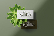 Rolena || Modern Serif Font, a Serif Font by Ermedia Studio (Thumbnail 7 of 10)